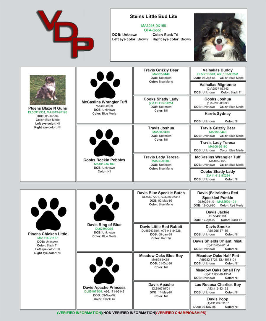 A sample of a Verified Dog Pedigrees peidgree